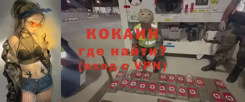 дарнет шоп  Полярный  блэк спрут как войти  Cocaine VHQ 