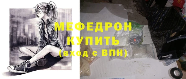индика Осинники