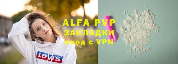 индика Осинники
