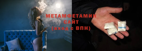 индика Осинники