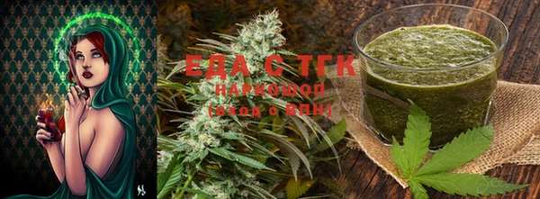 индика Осинники