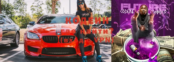 индика Осинники