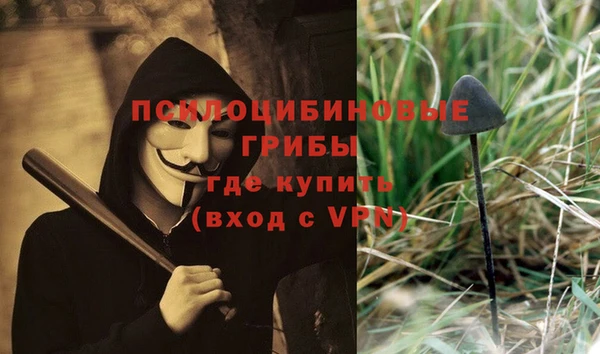 индика Осинники