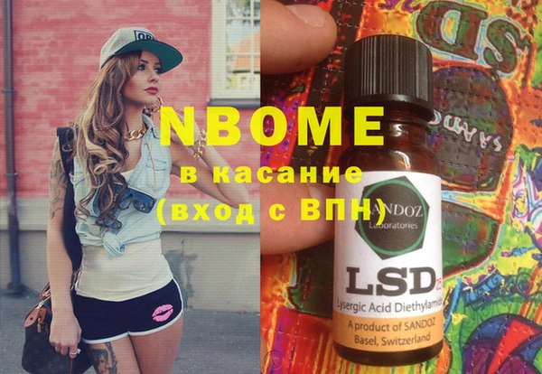 индика Осинники