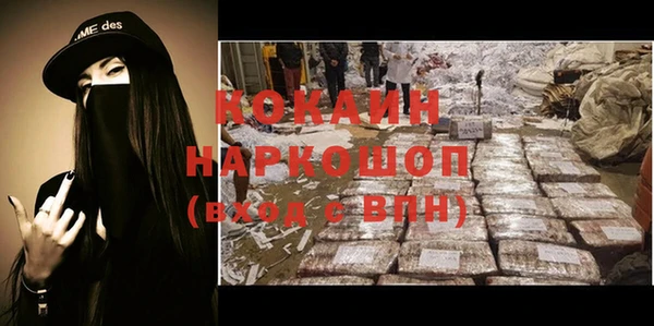 индика Осинники