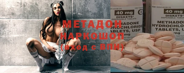 индика Осинники