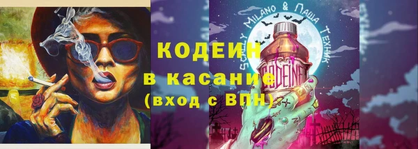 индика Осинники