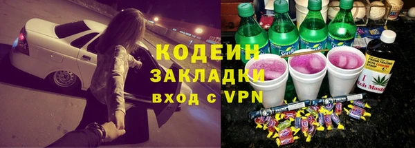 индика Осинники