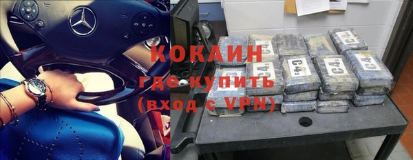 индика Осинники