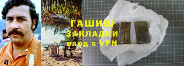 индика Осинники