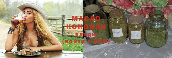 индика Осинники